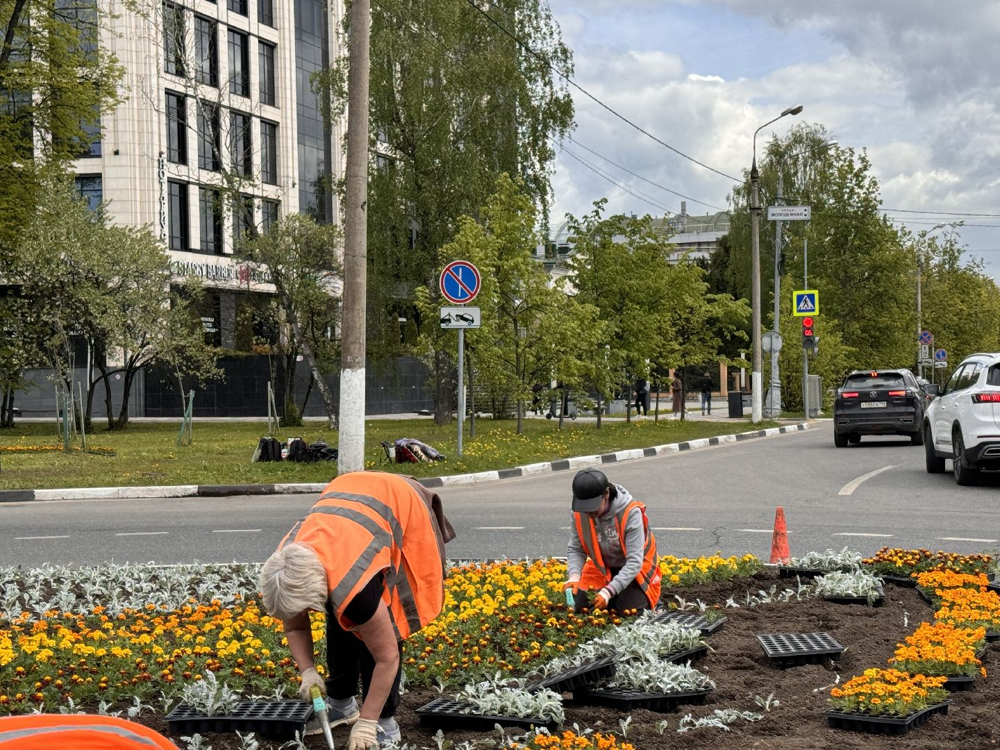Одинцово, Цветы, Озеленение, Благоустройство,