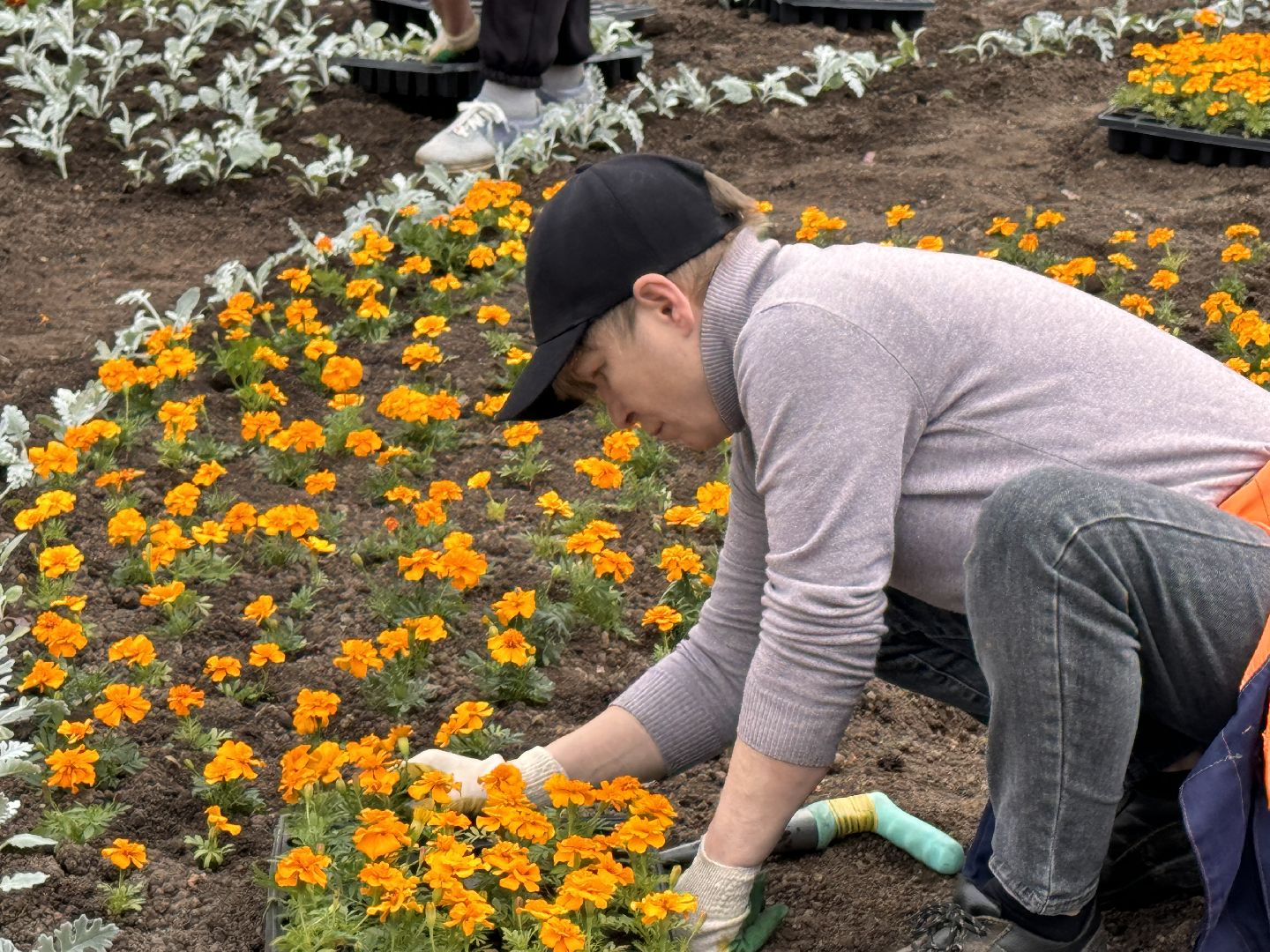 Одинцово, Цветы, Озеленение, Благоустройство,