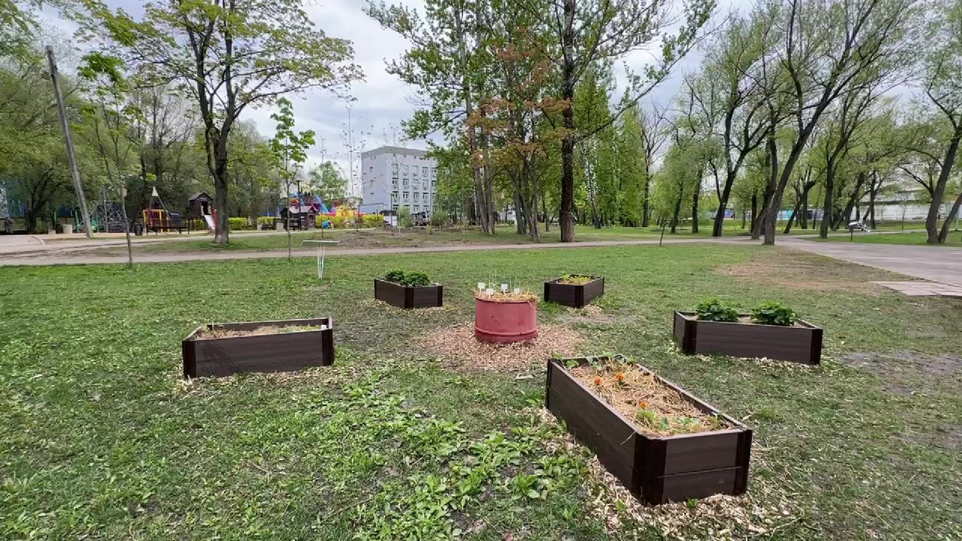 реутов, общественный огород, растения,