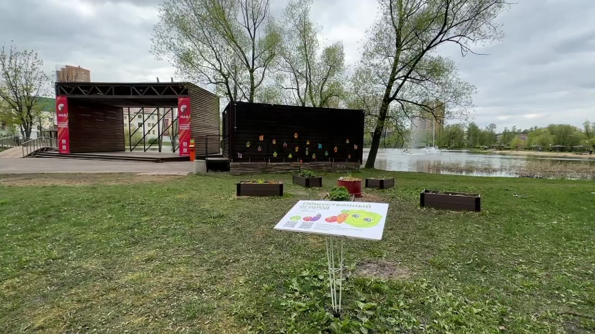 реутов, общественный огород, растения,