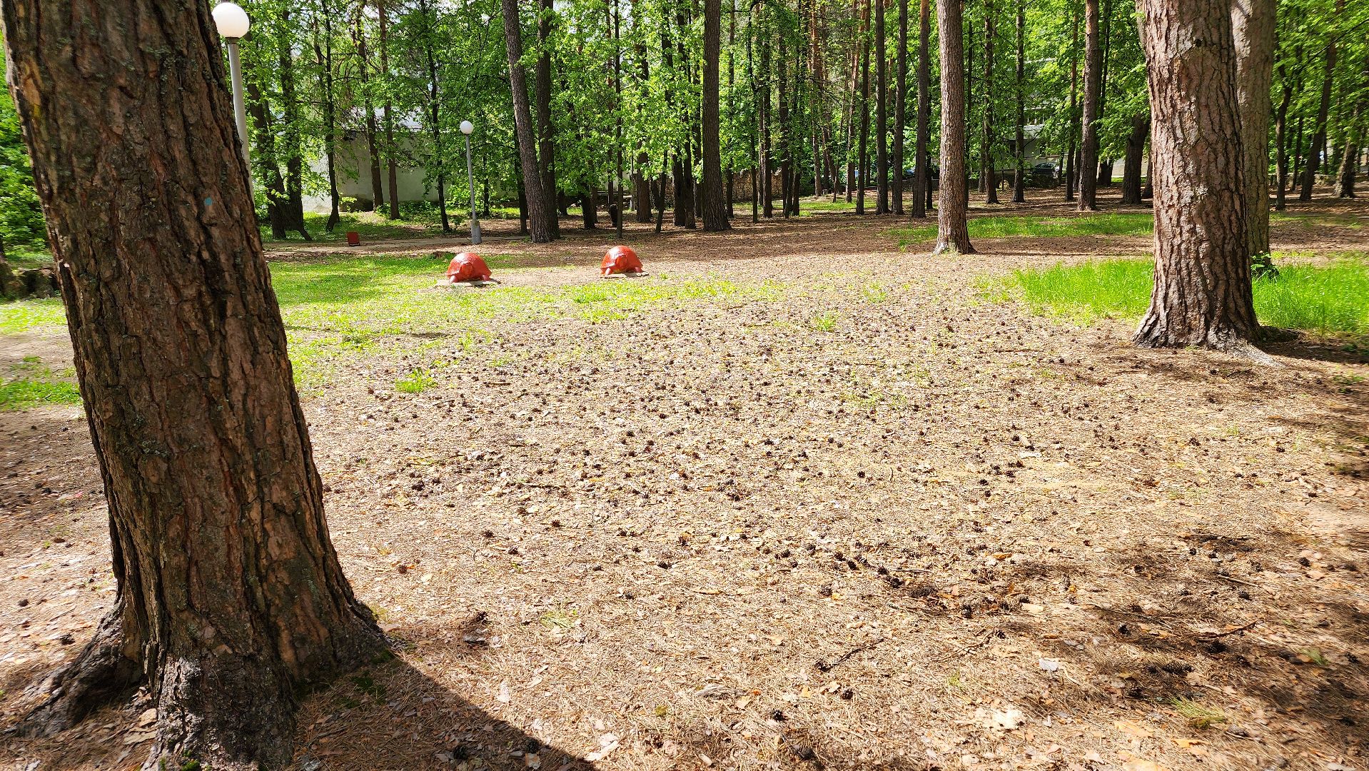 общественная территория, сказка, протвино, благоустройство, строительство,