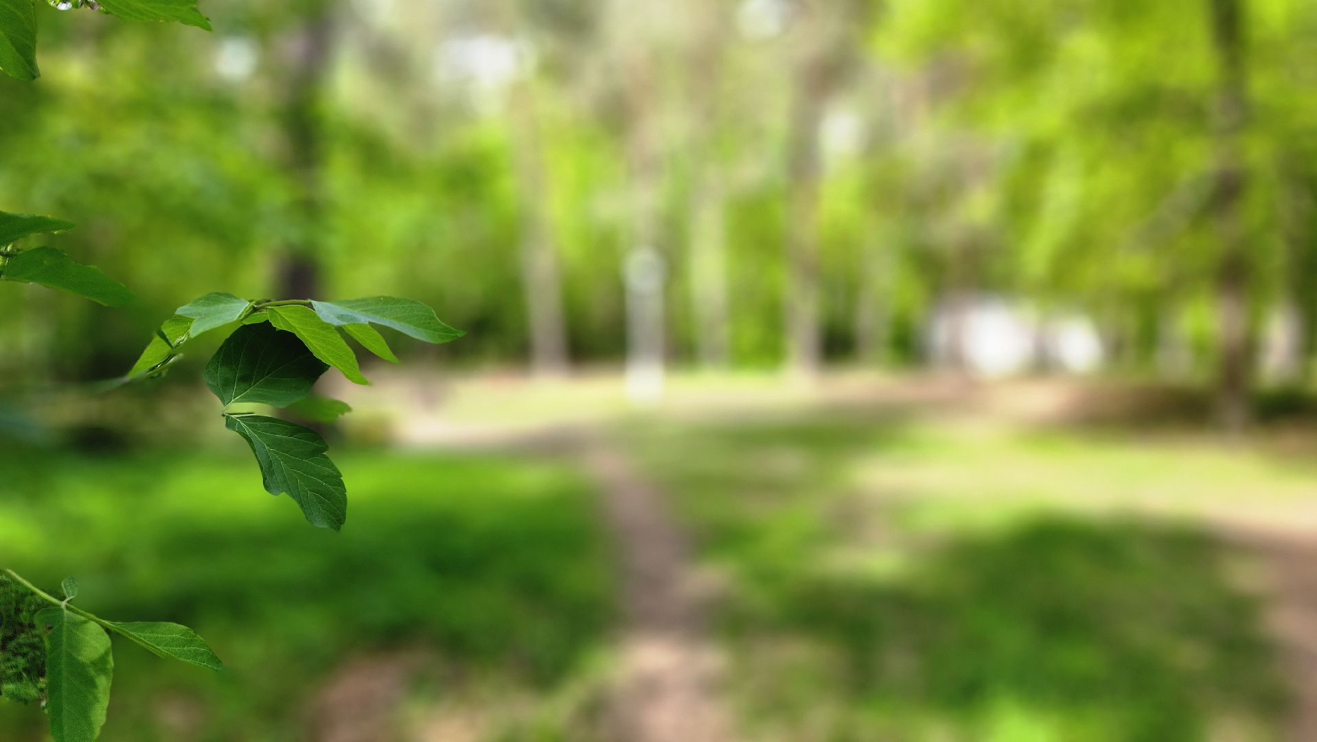 общественная территория, сказка, протвино, благоустройство, строительство,