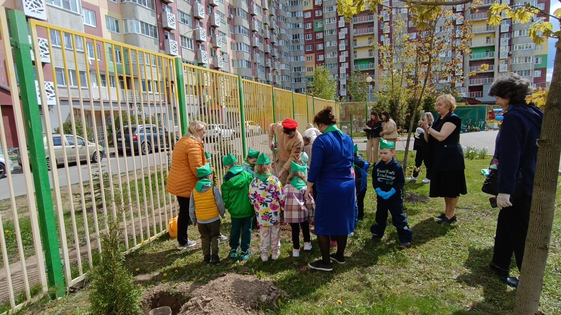 деревья, цветы, лобня,