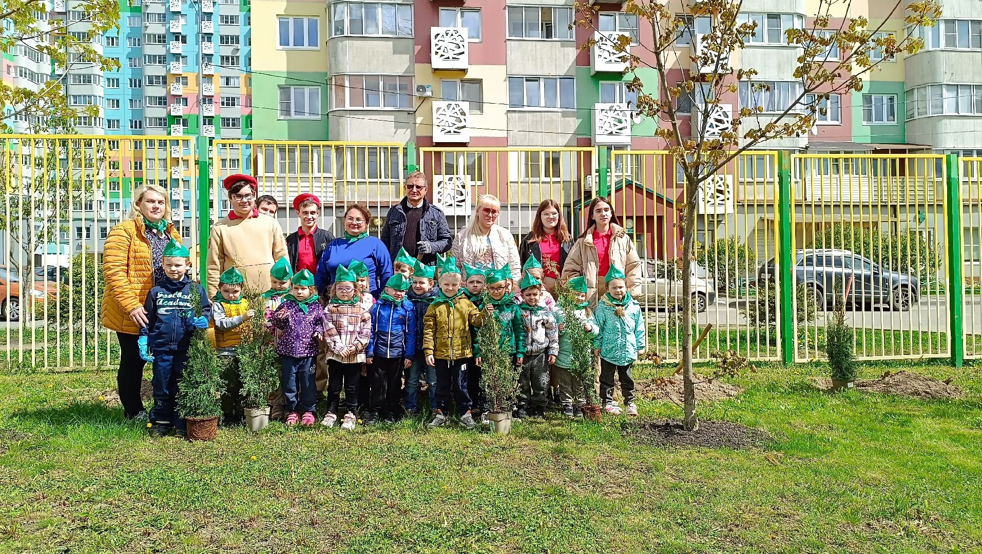 деревья, цветы, лобня,