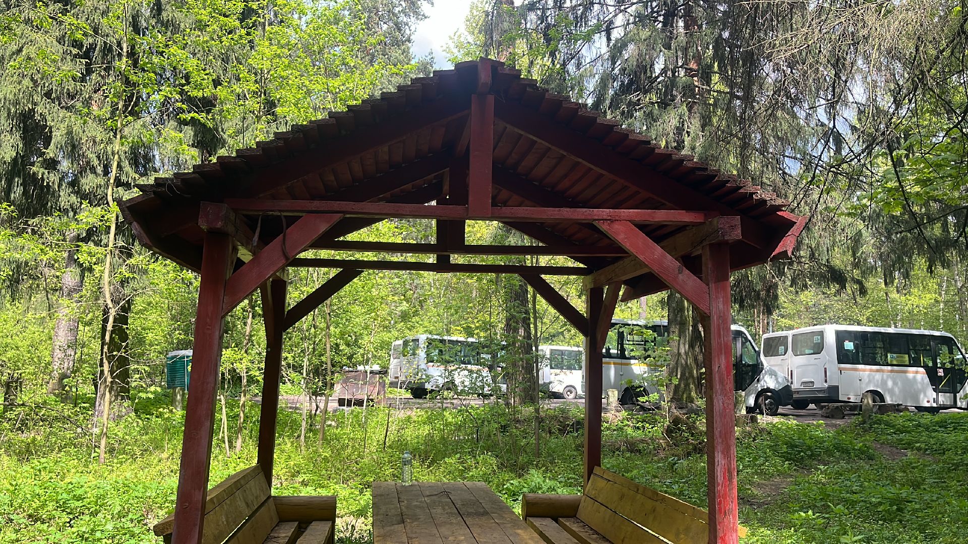 шашлык, шашлыки, лес, шашлык в лесу, мангал,