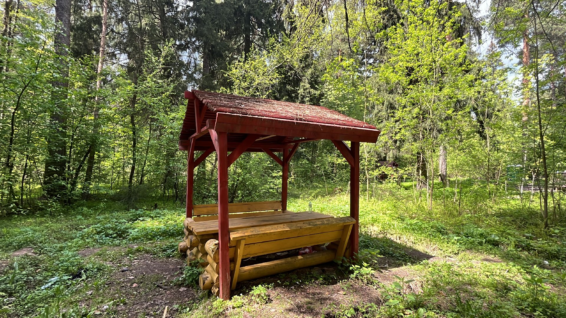 шашлык, шашлыки, лес, шашлык в лесу, мангал,