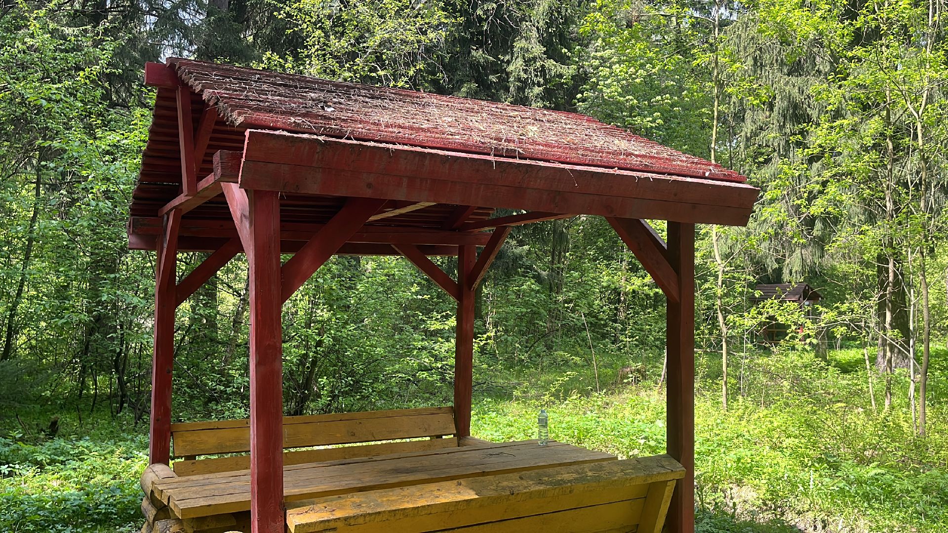 шашлык, шашлыки, лес, шашлык в лесу, мангал,