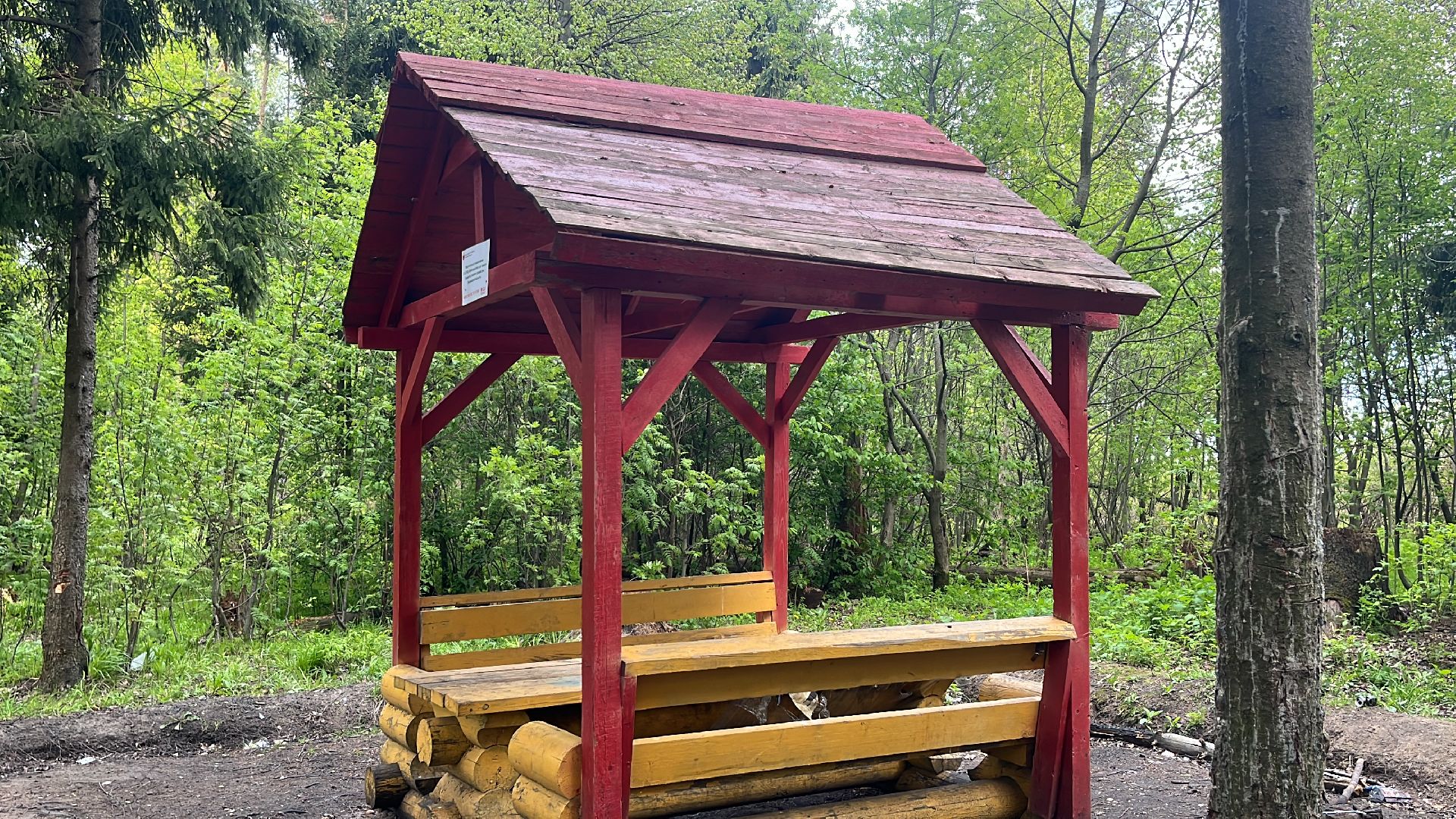 шашлык, шашлыки, озеро, лес, шашлык в лесу, шашлык у озера, мангал,