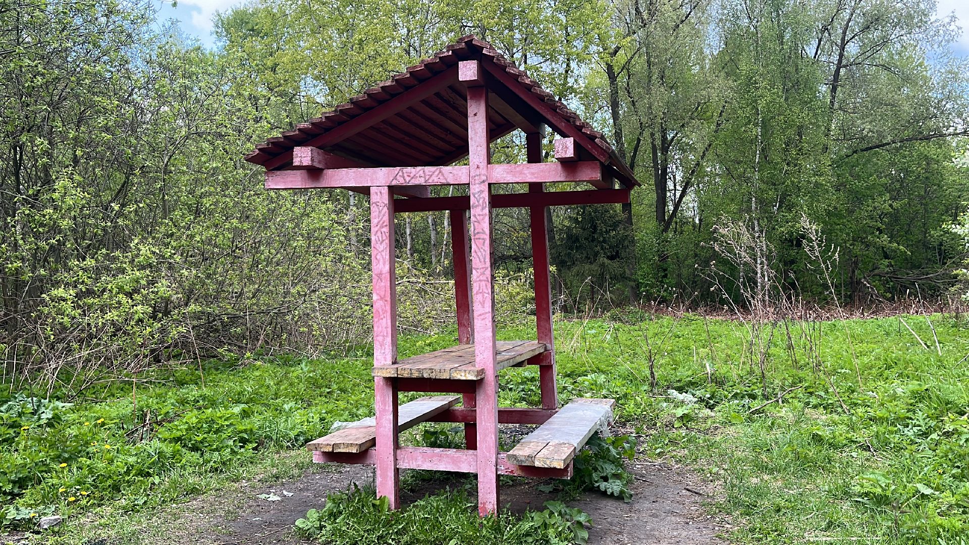 шашлык, шашлыки, озеро, лес, шашлык в лесу, шашлык у озера, мангал,