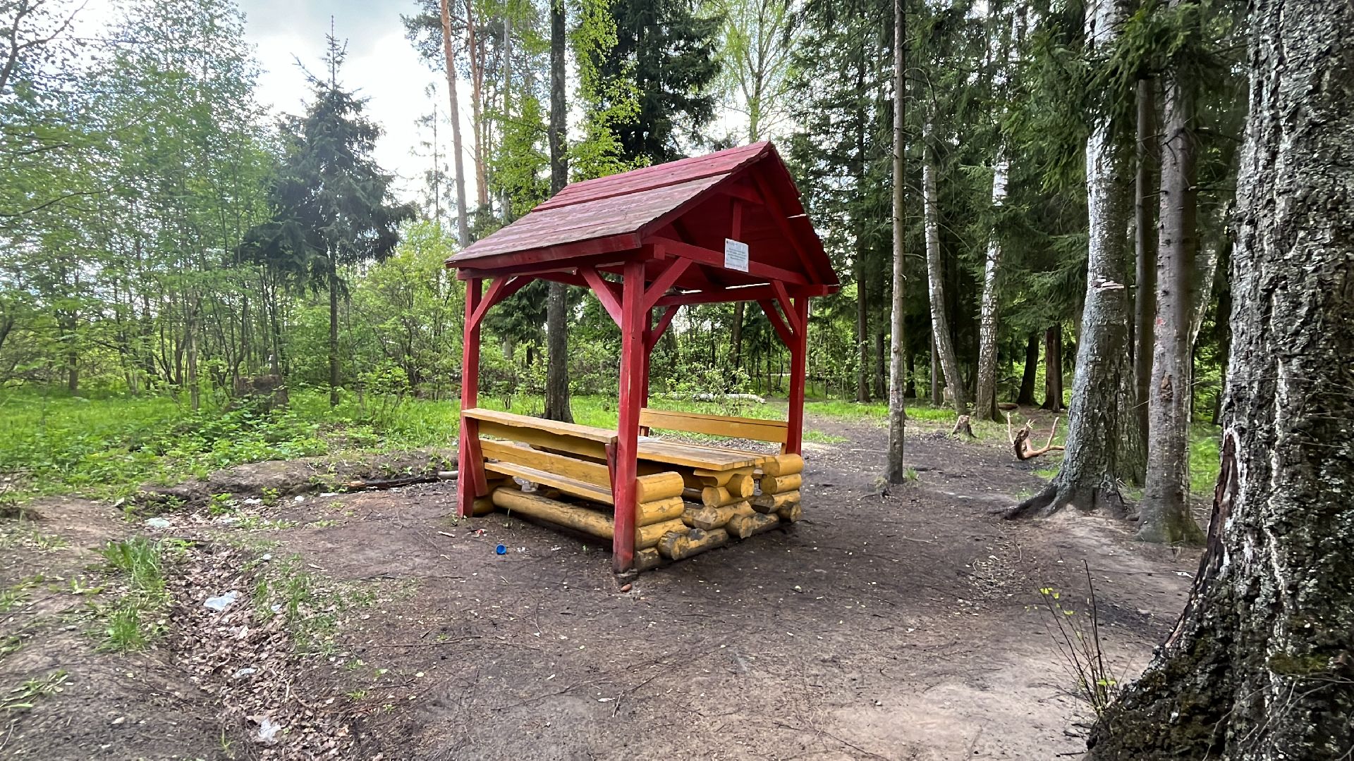 шашлык, шашлыки, озеро, лес, шашлык в лесу, шашлык у озера, мангал,