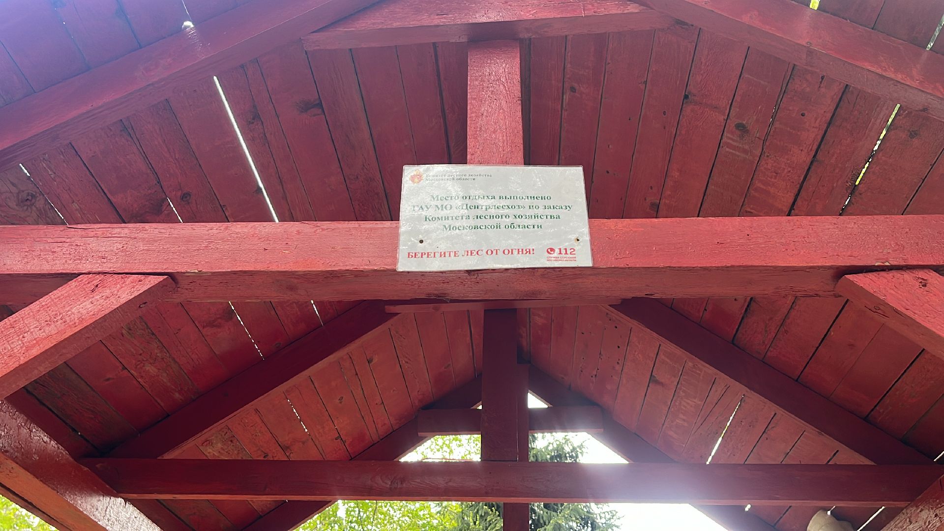 шашлык, шашлыки, озеро, лес, шашлык в лесу, шашлык у озера, мангал,