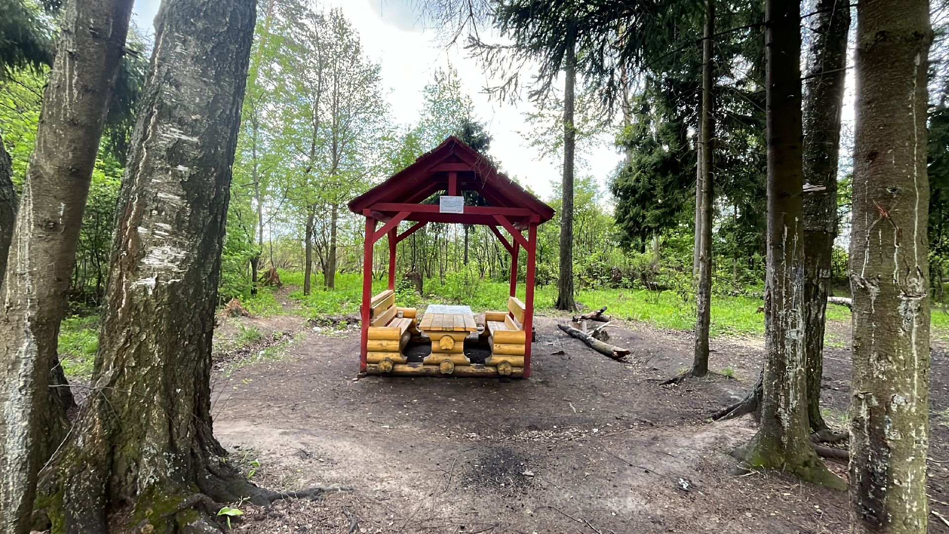 шашлык, шашлыки, озеро, лес, шашлык в лесу, шашлык у озера, мангал,