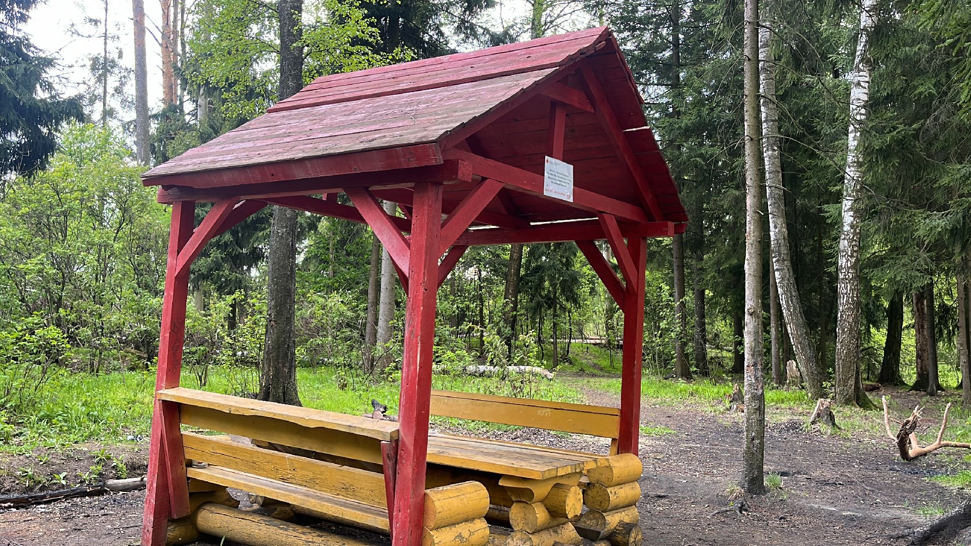 шашлык, шашлыки, озеро, лес, шашлык в лесу, шашлык у озера, мангал,