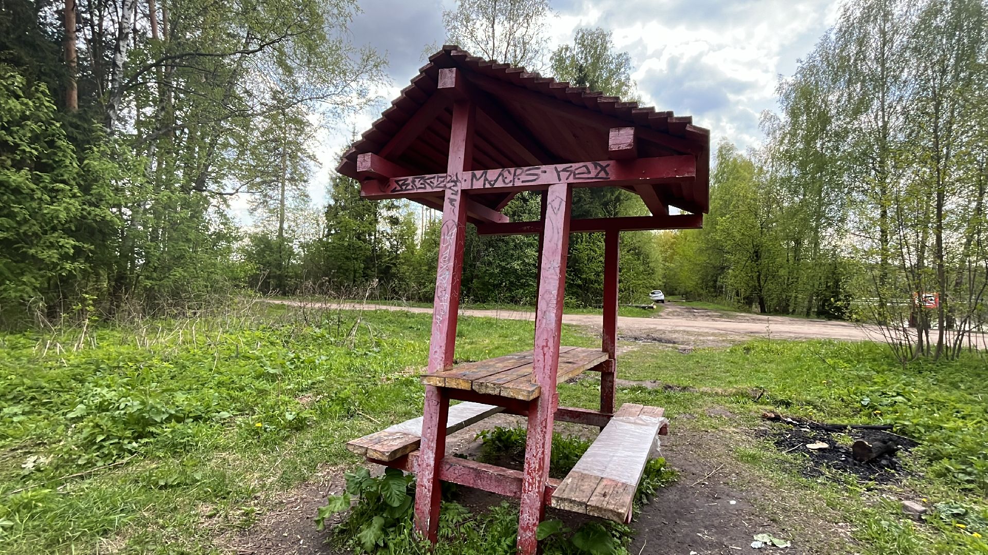 шашлык, шашлыки, озеро, лес, шашлык в лесу, шашлык у озера, мангал,