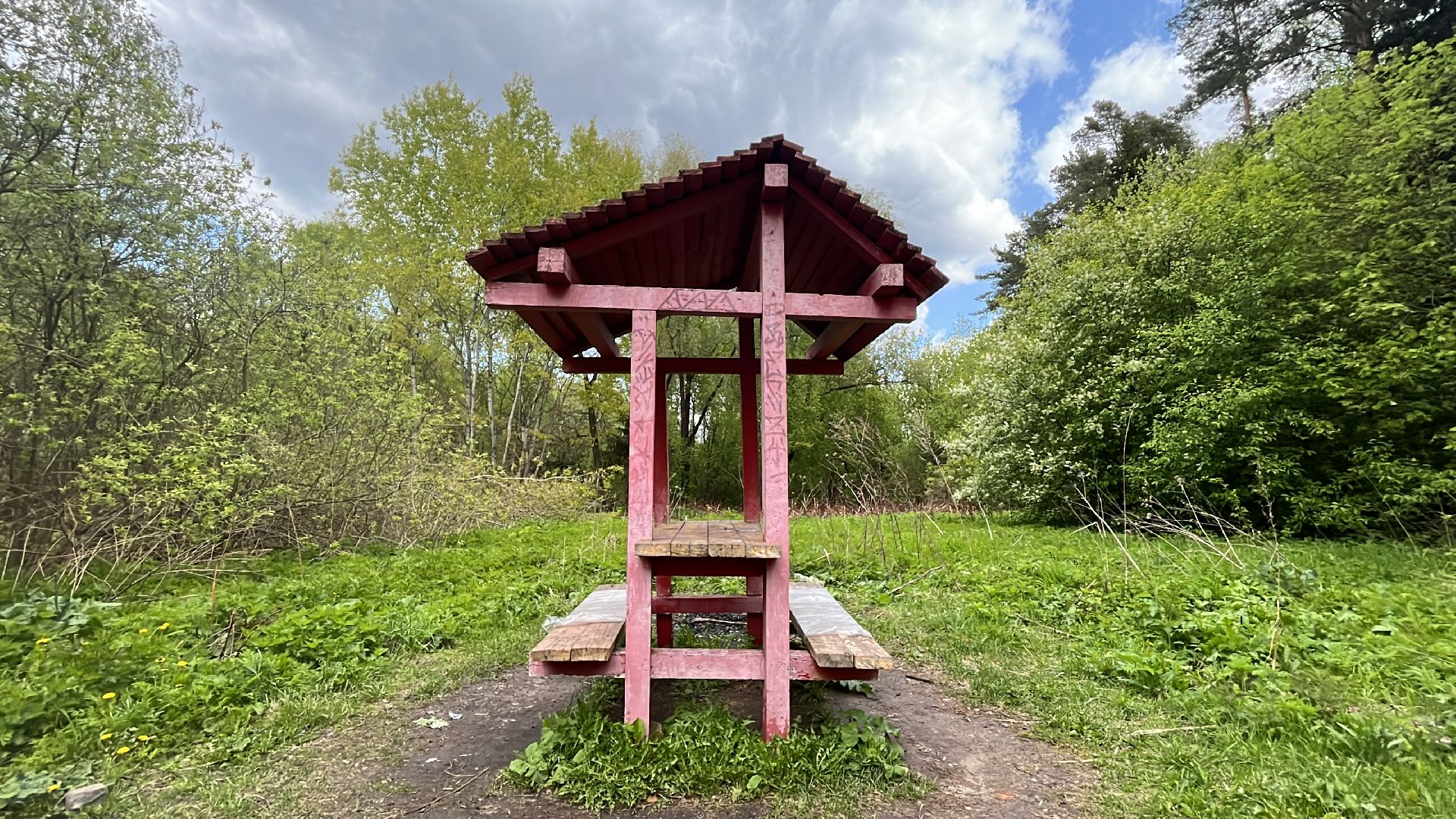 шашлык, шашлыки, озеро, лес, шашлык в лесу, шашлык у озера, мангал,