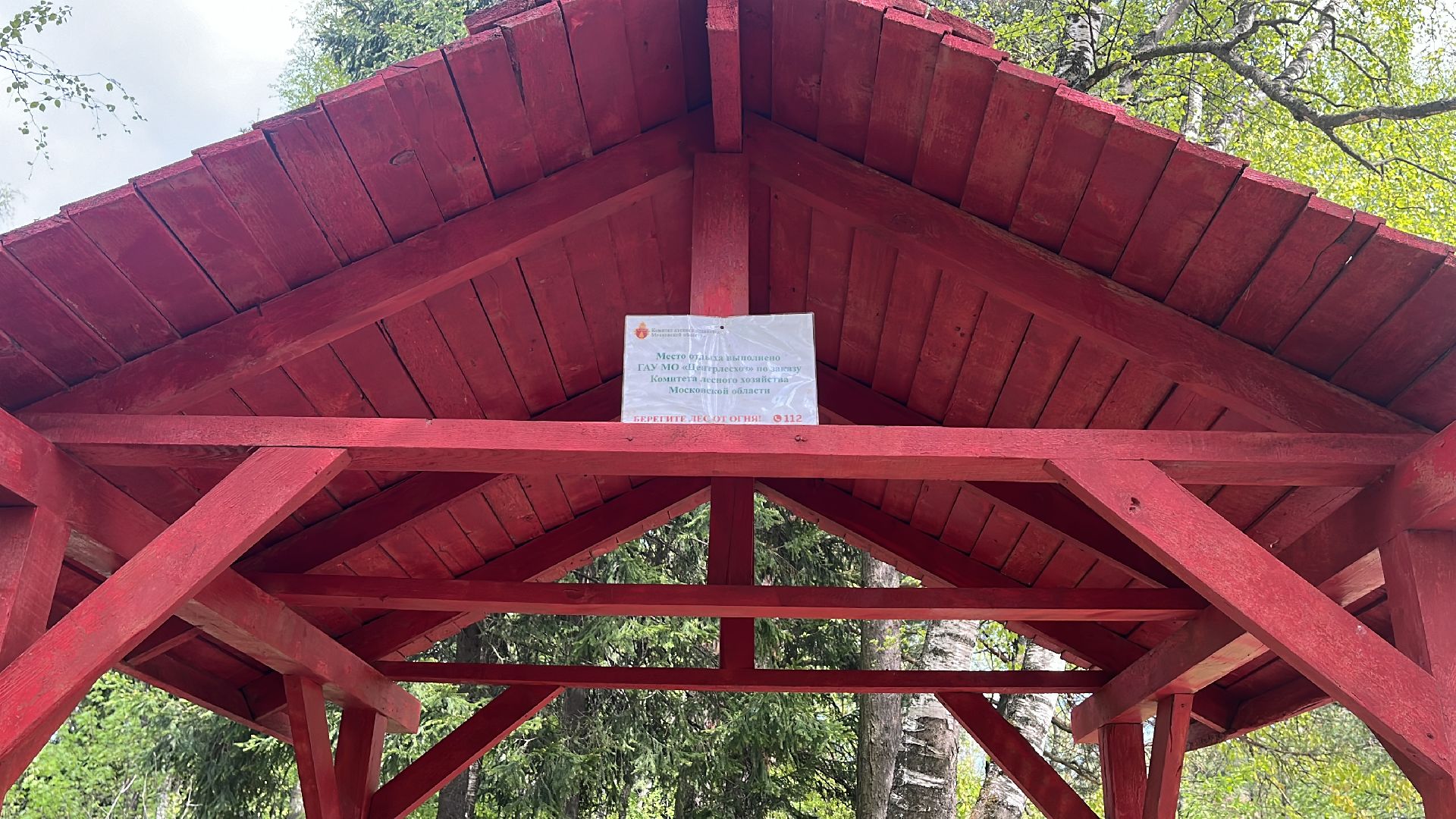 шашлык, шашлыки, лес, озеро в поповке, шашлык в лесу, шашлык у озера, мангал,