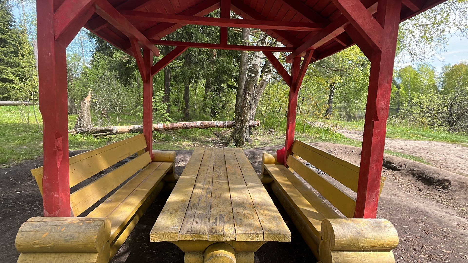 шашлык, шашлыки, лес, озеро в поповке, шашлык в лесу, шашлык у озера, мангал,