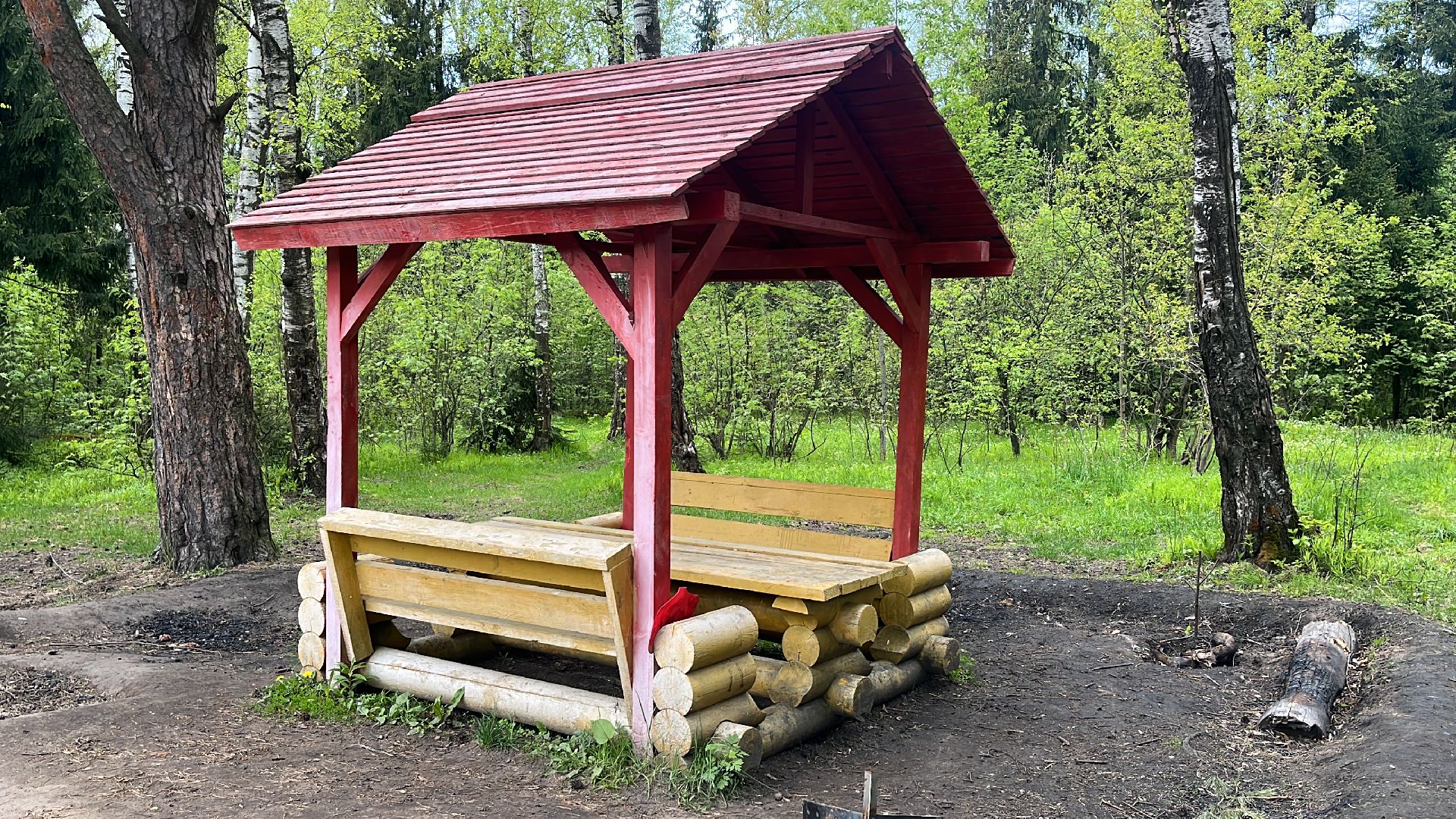 шашлык, шашлыки, лес, озеро в поповке, шашлык в лесу, шашлык у озера, мангал,