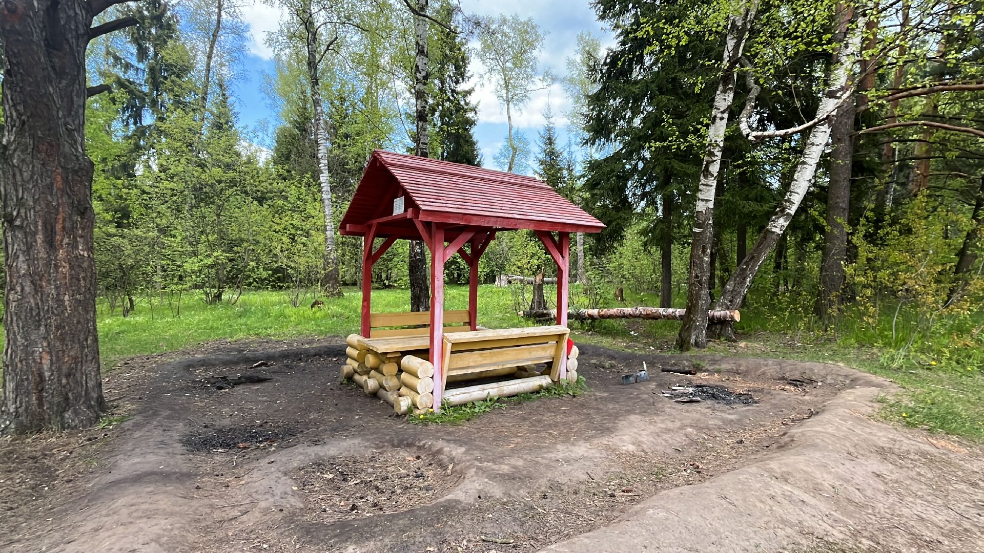 шашлык, шашлыки, лес, озеро в поповке, шашлык в лесу, шашлык у озера, мангал,