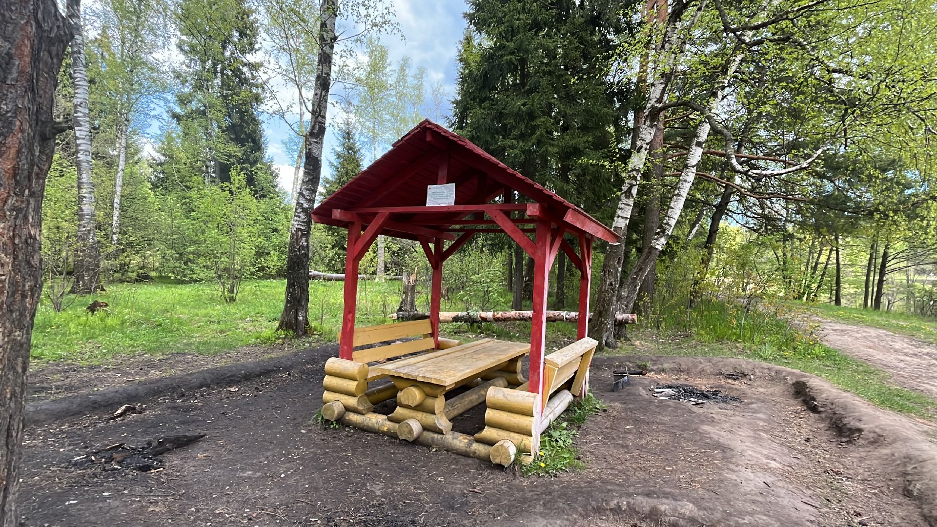 шашлык, шашлыки, лес, озеро в поповке, шашлык в лесу, шашлык у озера, мангал,