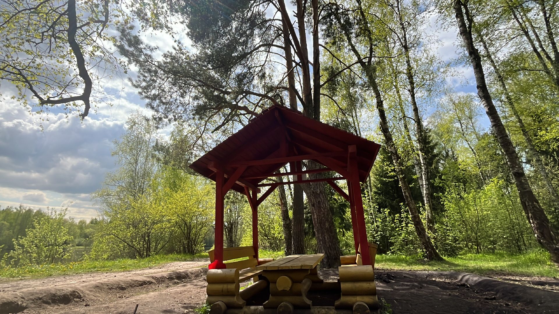 шашлык, шашлыки, лес, озеро в поповке, шашлык в лесу, шашлык у озера, мангал,