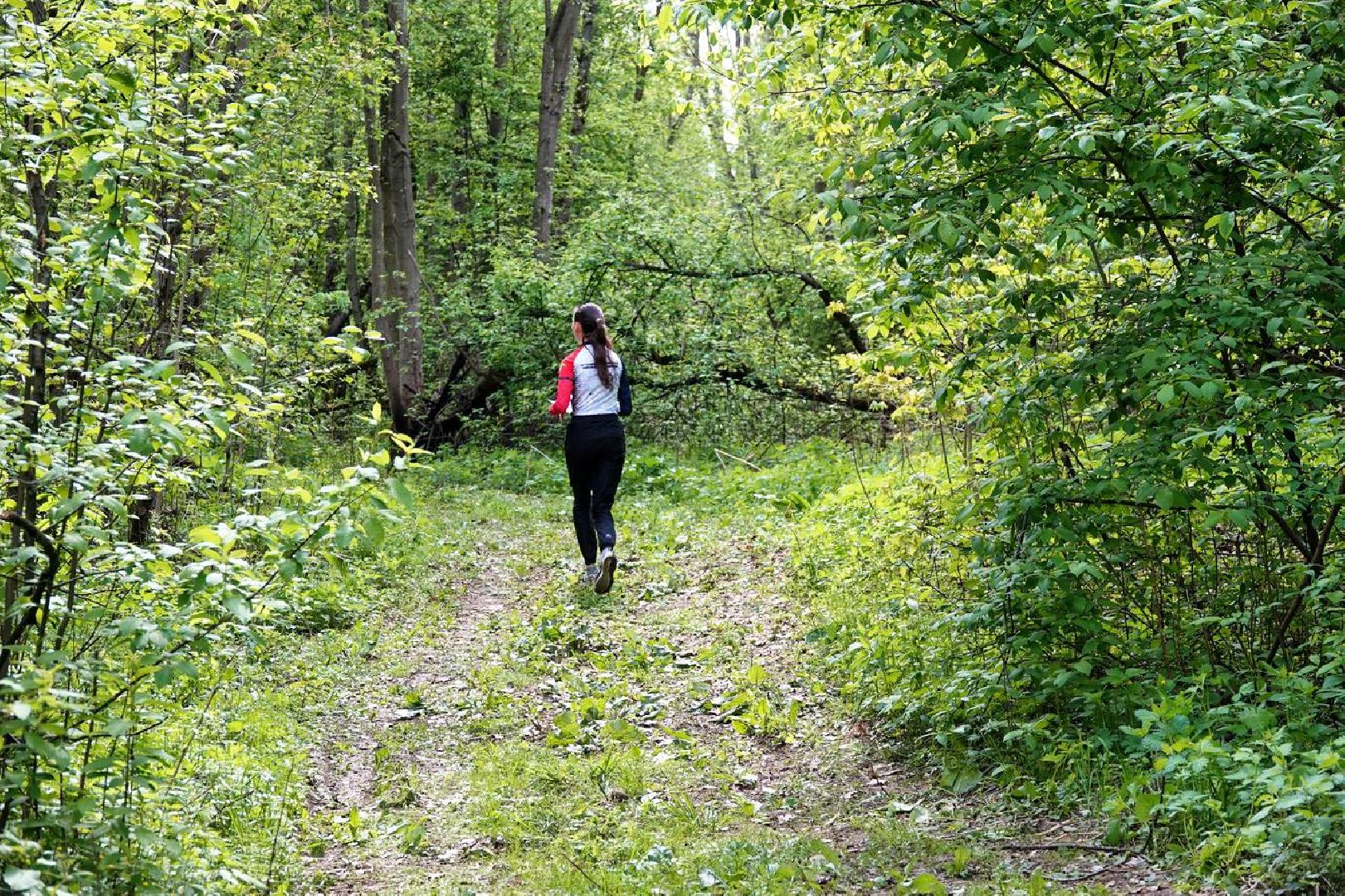 Спорт, Спортивное ориентирование, Соревнования, Турнир, Сергиев Посад,