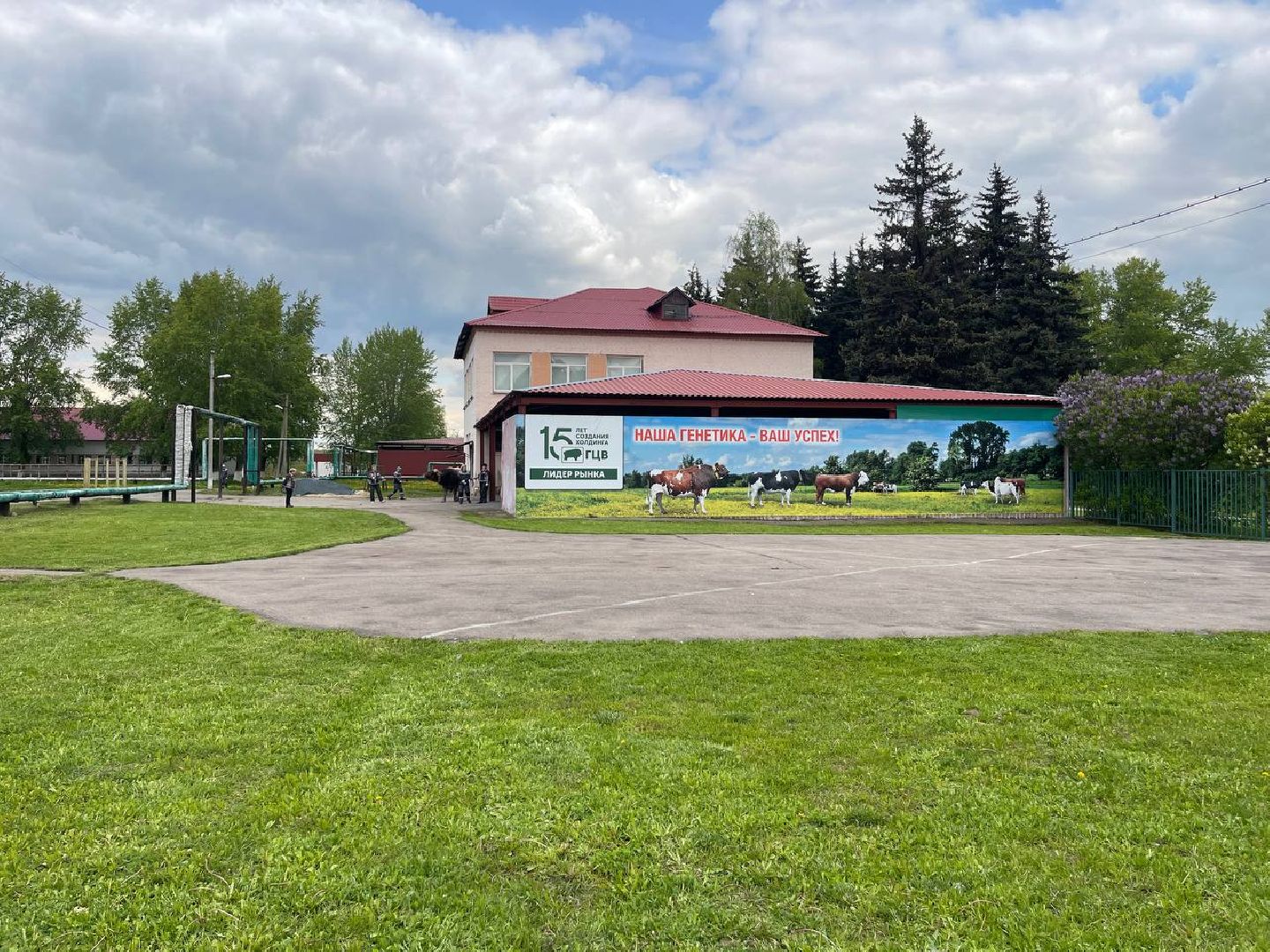 Подольск, Быки производители, Животноводство, Выводка,