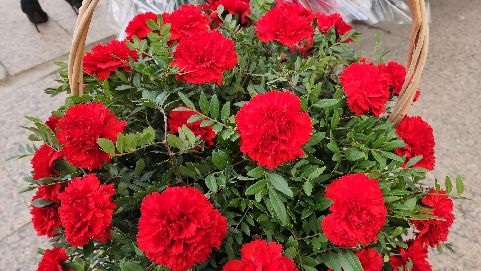 сво, митинг памяти, красногорск,