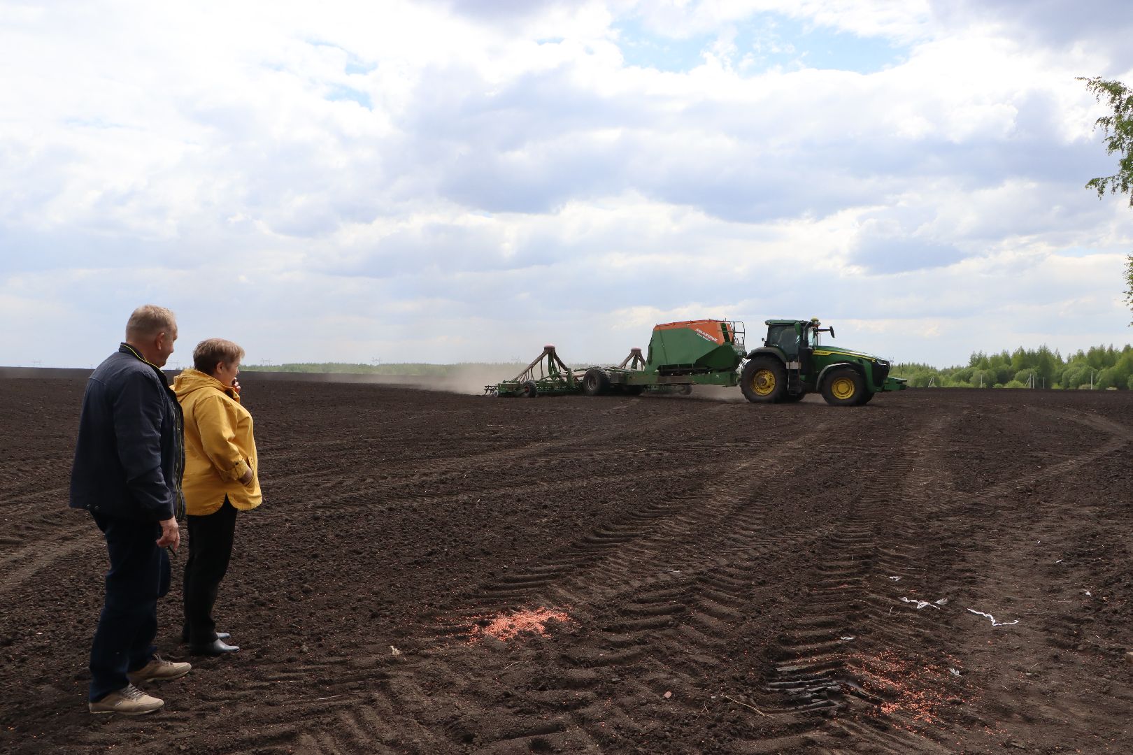 Серебряные Пруды, Сельское хозяйство, посевная 2024, соя,