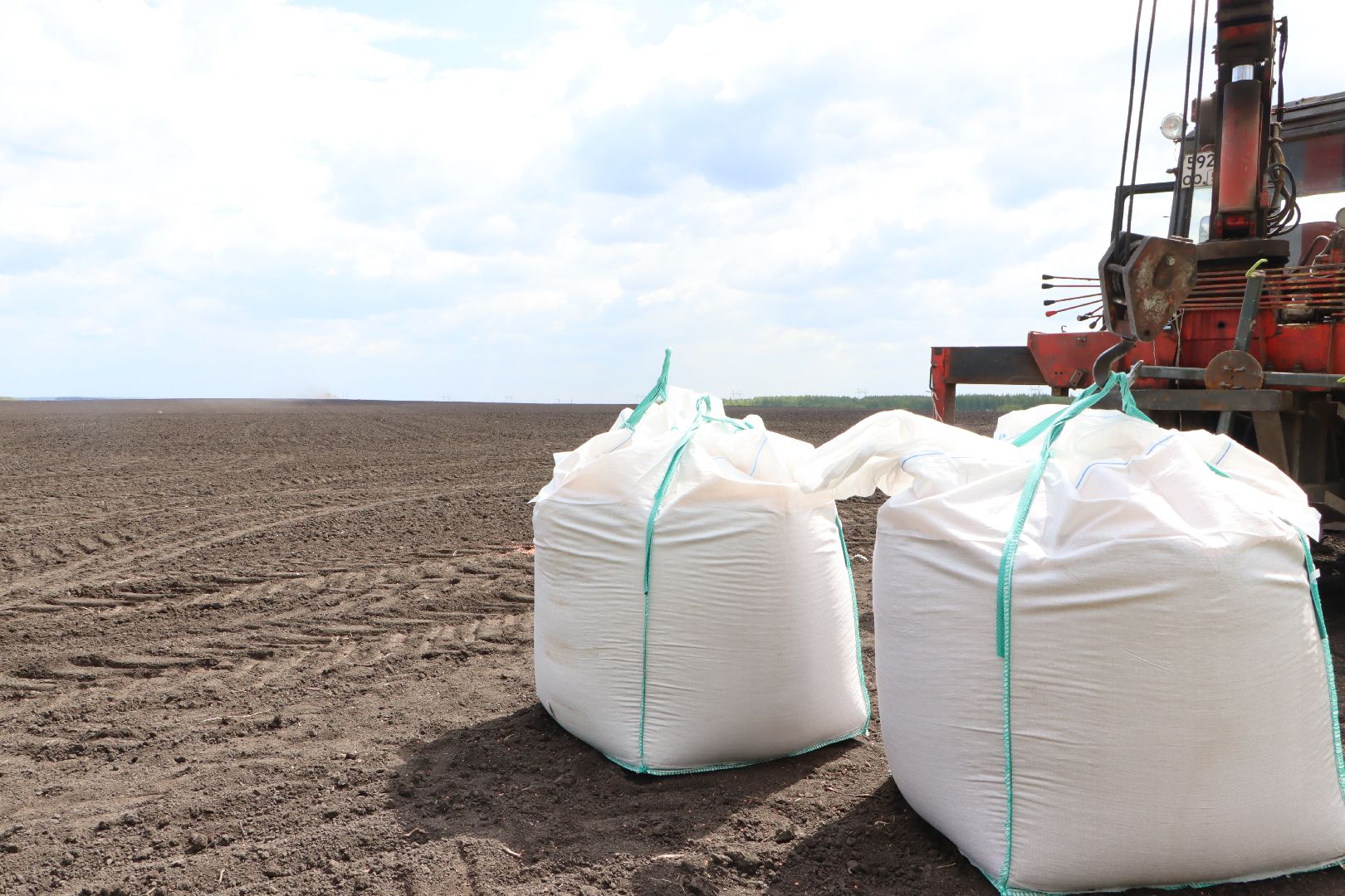 Серебряные Пруды, Сельское хозяйство, посевная 2024, соя,