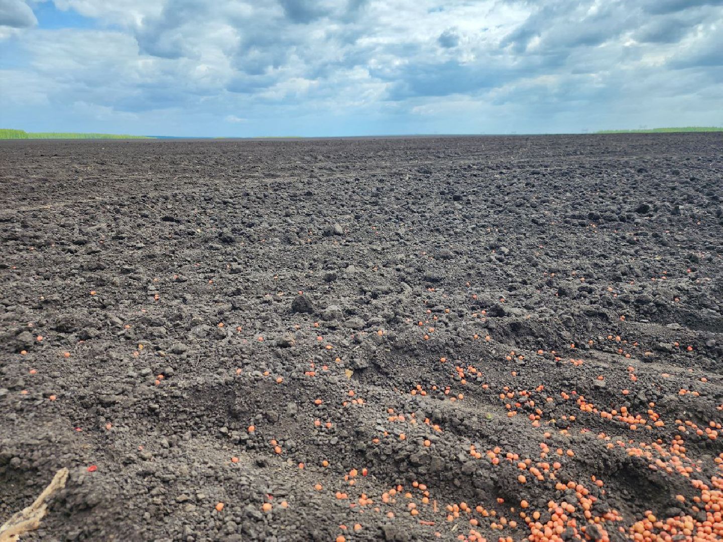 Серебряные Пруды, Сельское хозяйство, посевная 2024, соя,