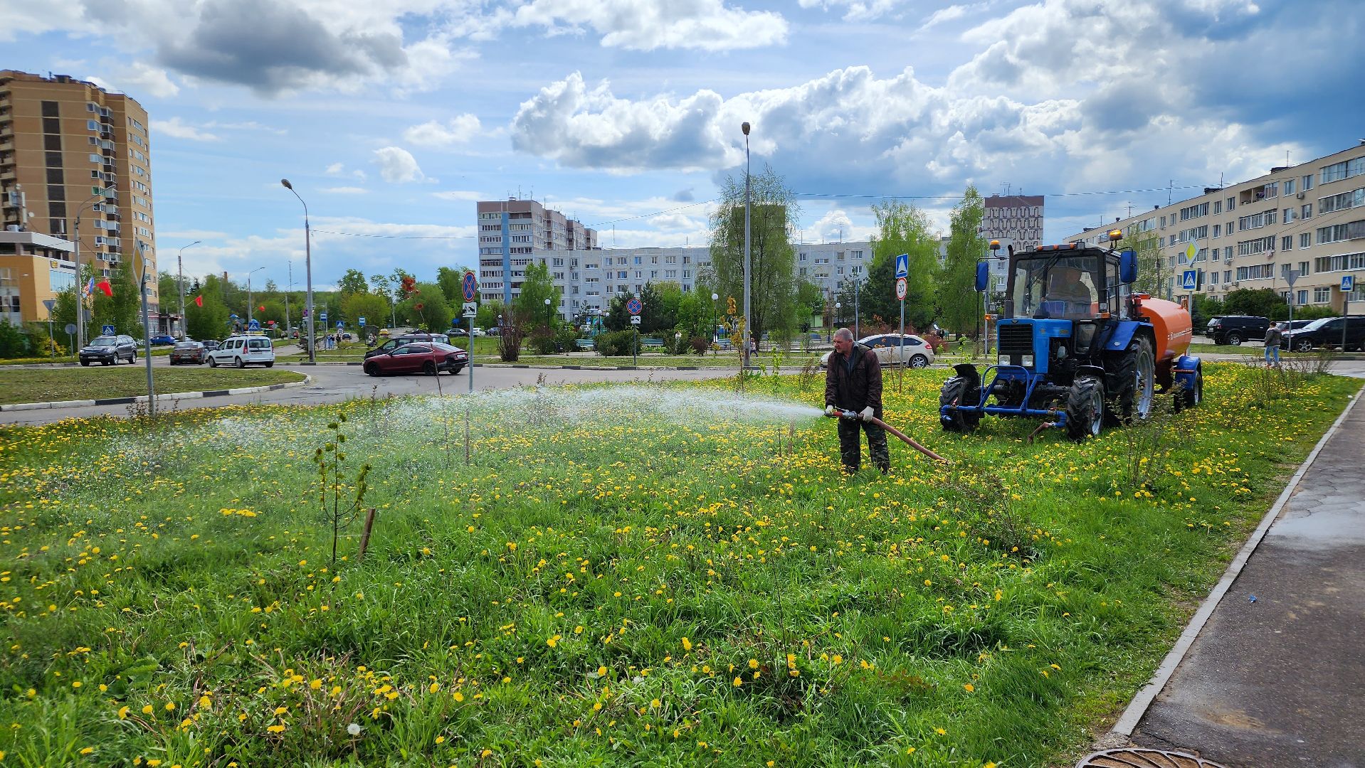 благоустройство, Лосино-Петровский, коммунальщики, растения, деревья,