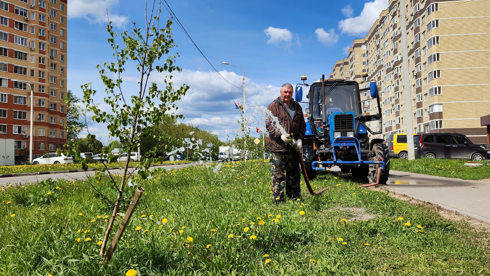 благоустройство, Лосино-Петровский, коммунальщики, растения, деревья,