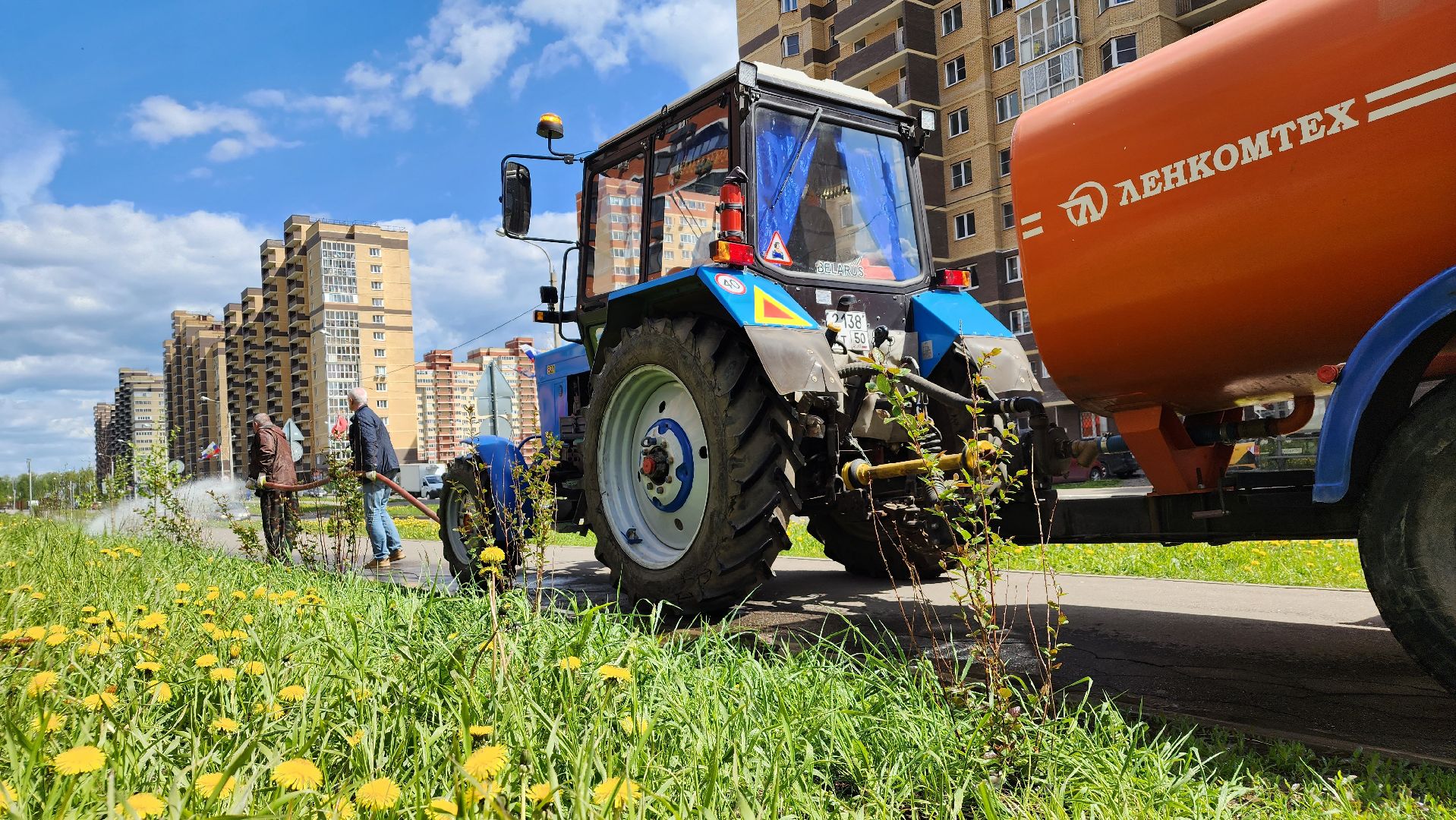 благоустройство, Лосино-Петровский, коммунальщики, растения, деревья,