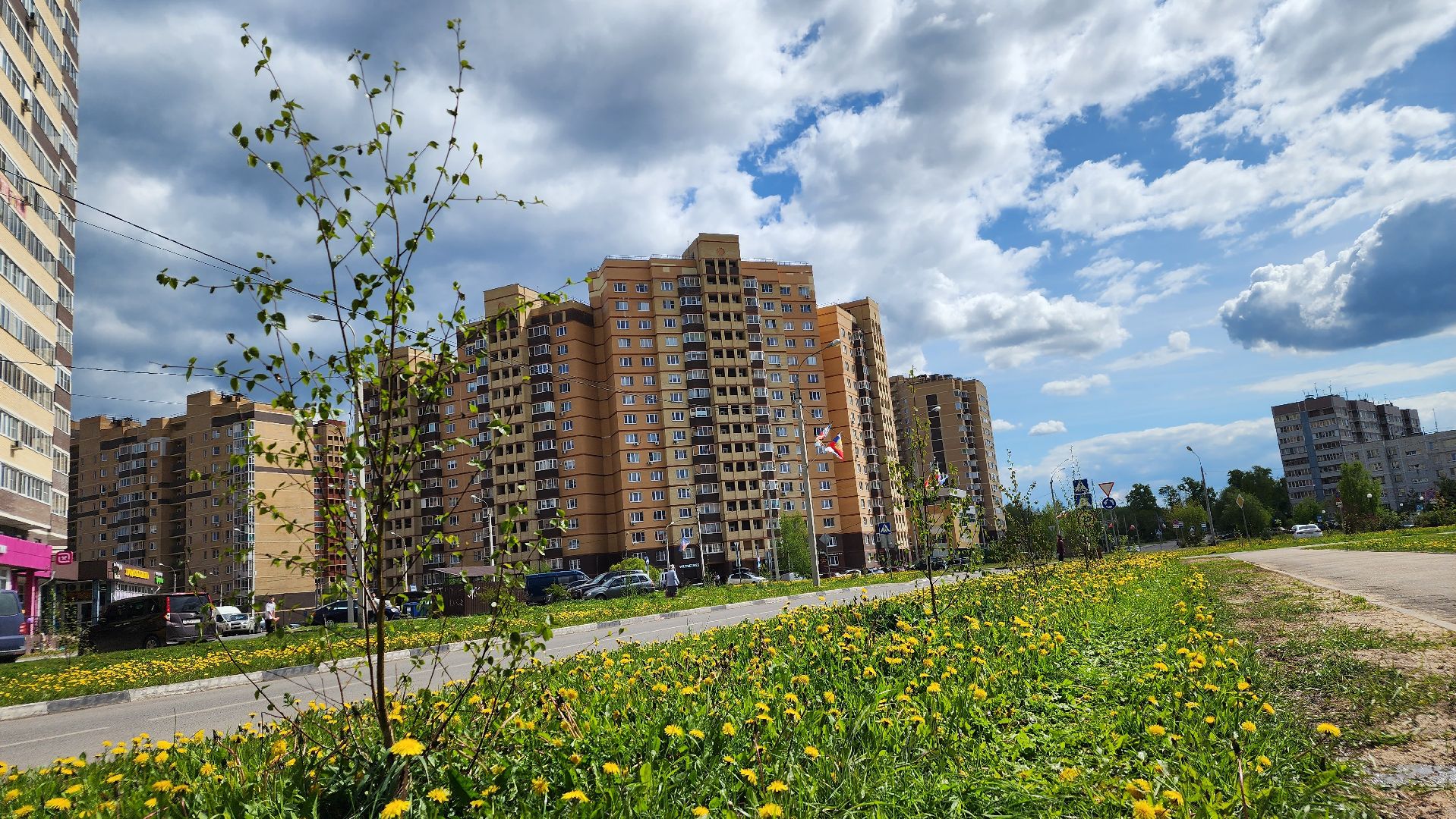 благоустройство, Лосино-Петровский, коммунальщики, растения, деревья,