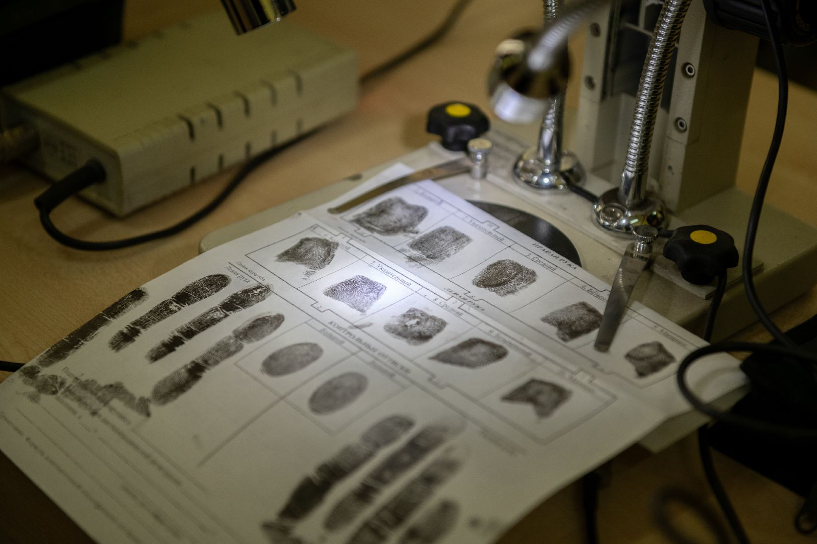 лыткарино, образование, творчество в профессии, трудовые династии,