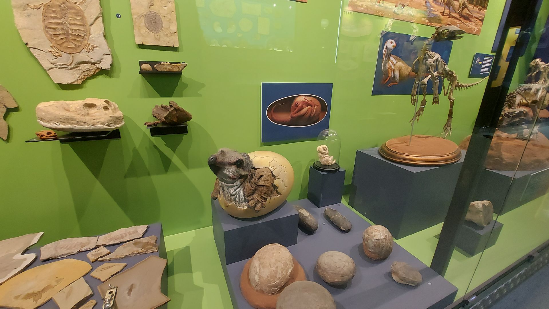 история, палеонтология, музей, туризм в подмосковье,