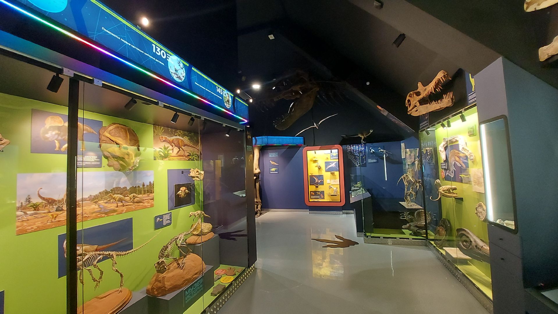 история, палеонтология, музей, туризм в подмосковье,
