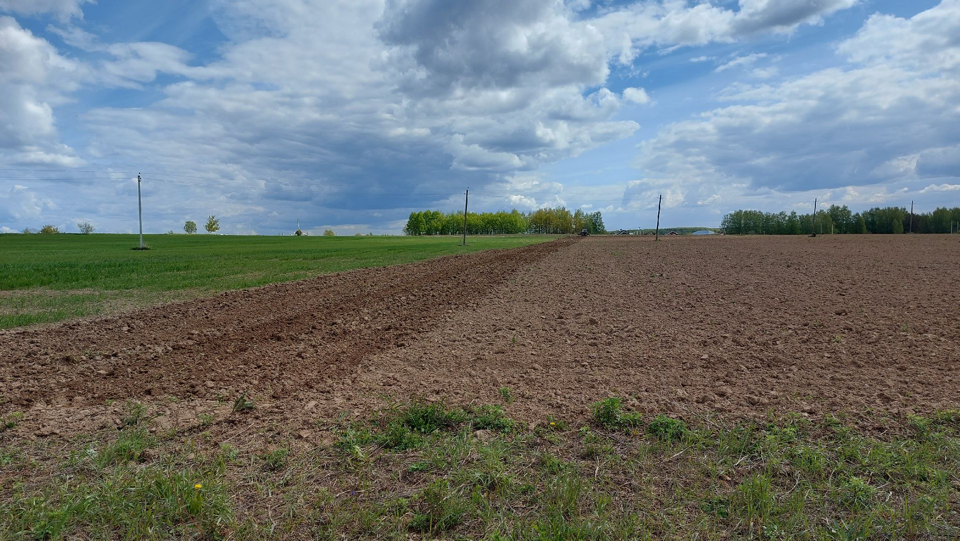 сельское хозяйство, пшеница, опыты,