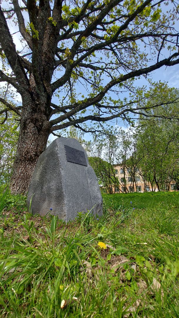 сельское хозяйство, пшеница, опыты,