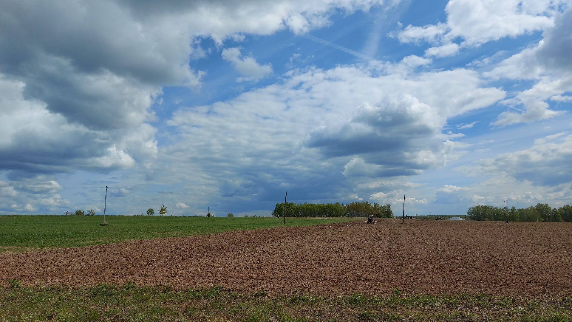 сельское хозяйство, пшеница, опыты,