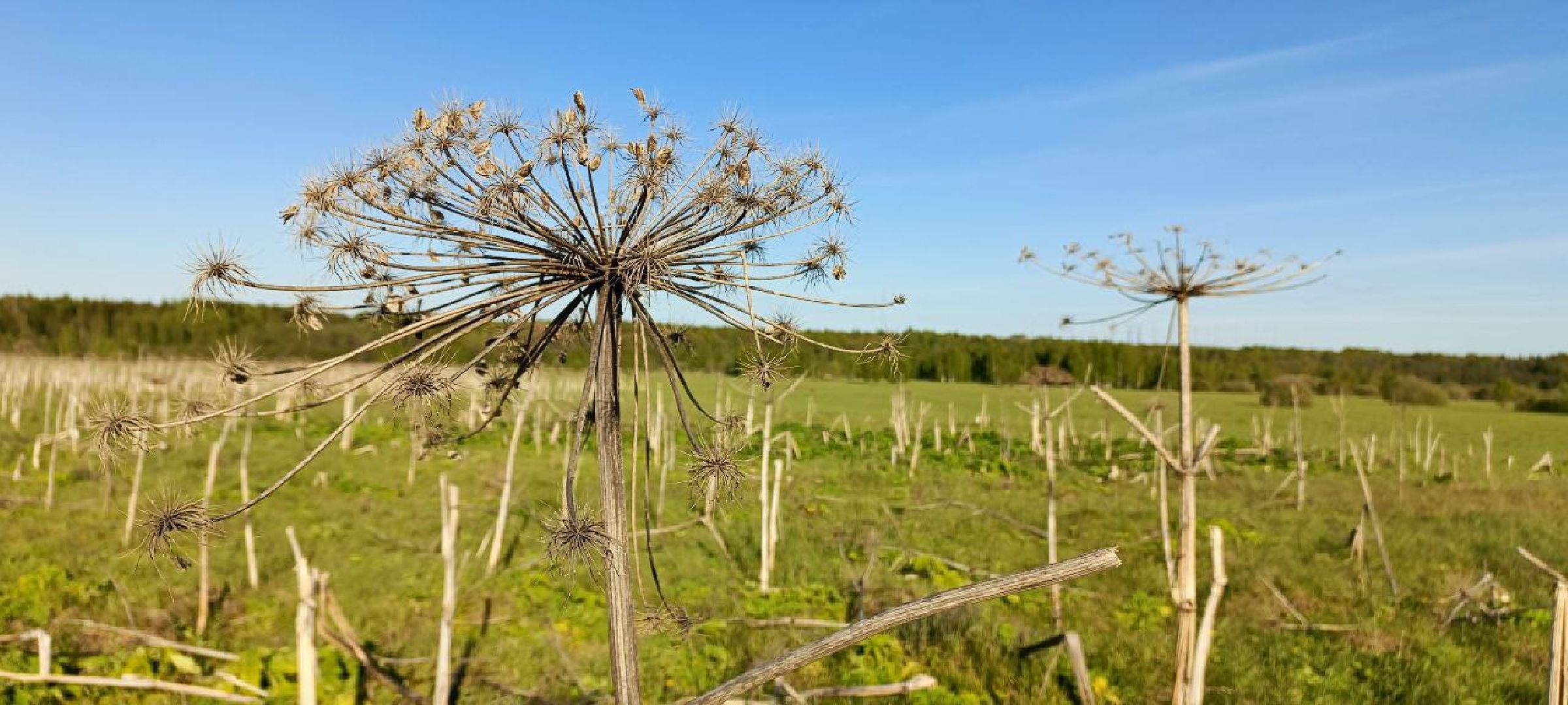 Талдом, Выездная администрация,