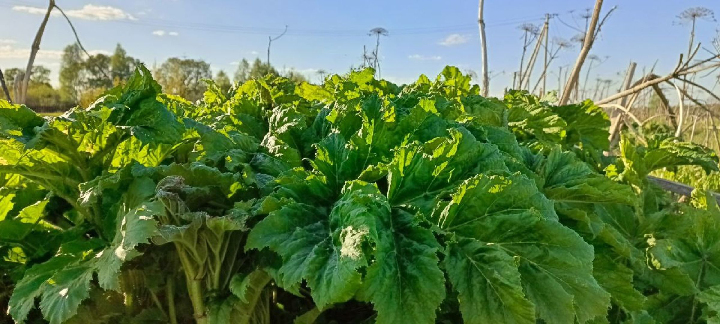 Талдом, Выездная администрация,