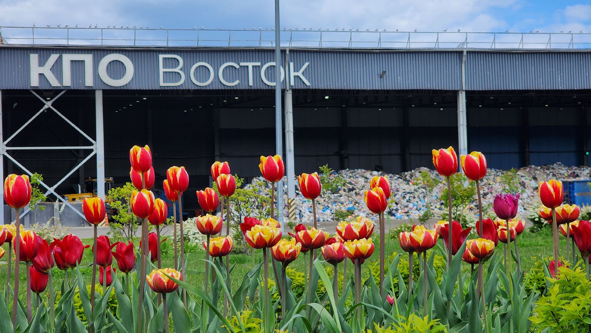 кпо восток, КПО, Экология,Егорьевск, Подмосковье, Московская область,