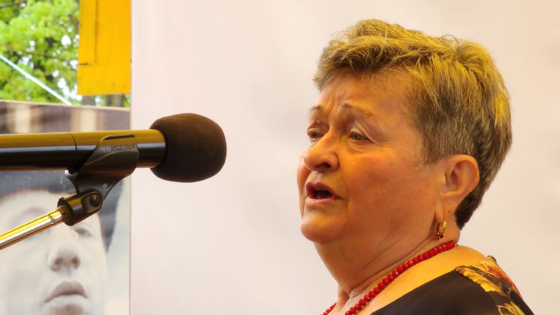 Егорьевск, пегас, вокальный конкурс, активное долголетие,