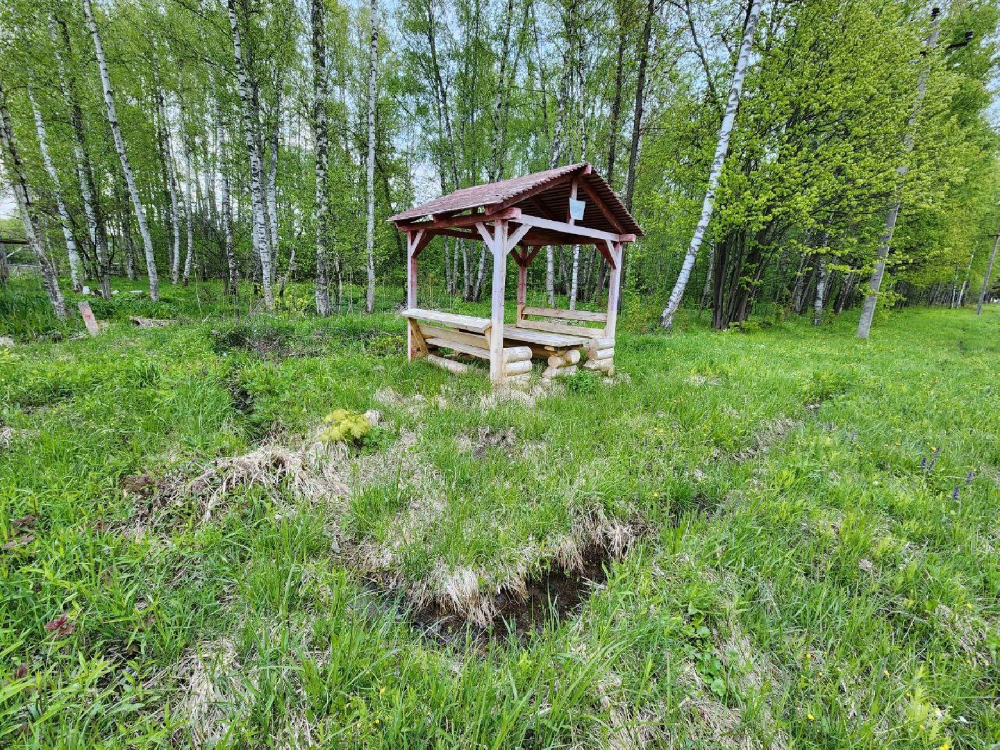 чехов, общество, зона для пикника, зона для отдыха, лесничество,