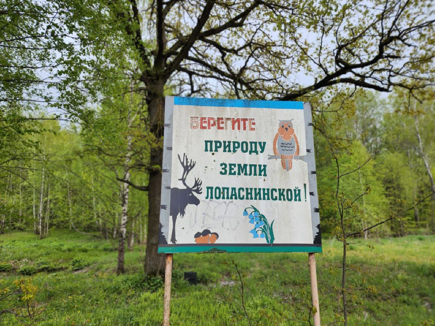 чехов, общество, зона для пикника, зона для отдыха, лесничество,