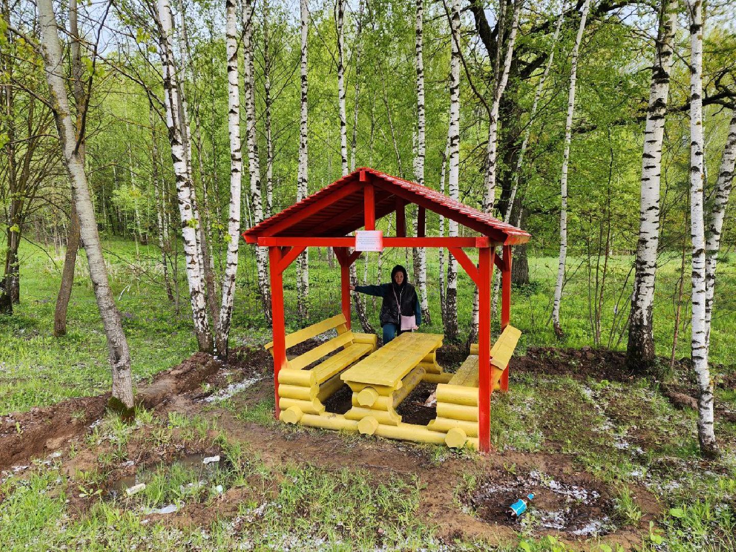 чехов, общество, зона для пикника, зона для отдыха, лесничество,