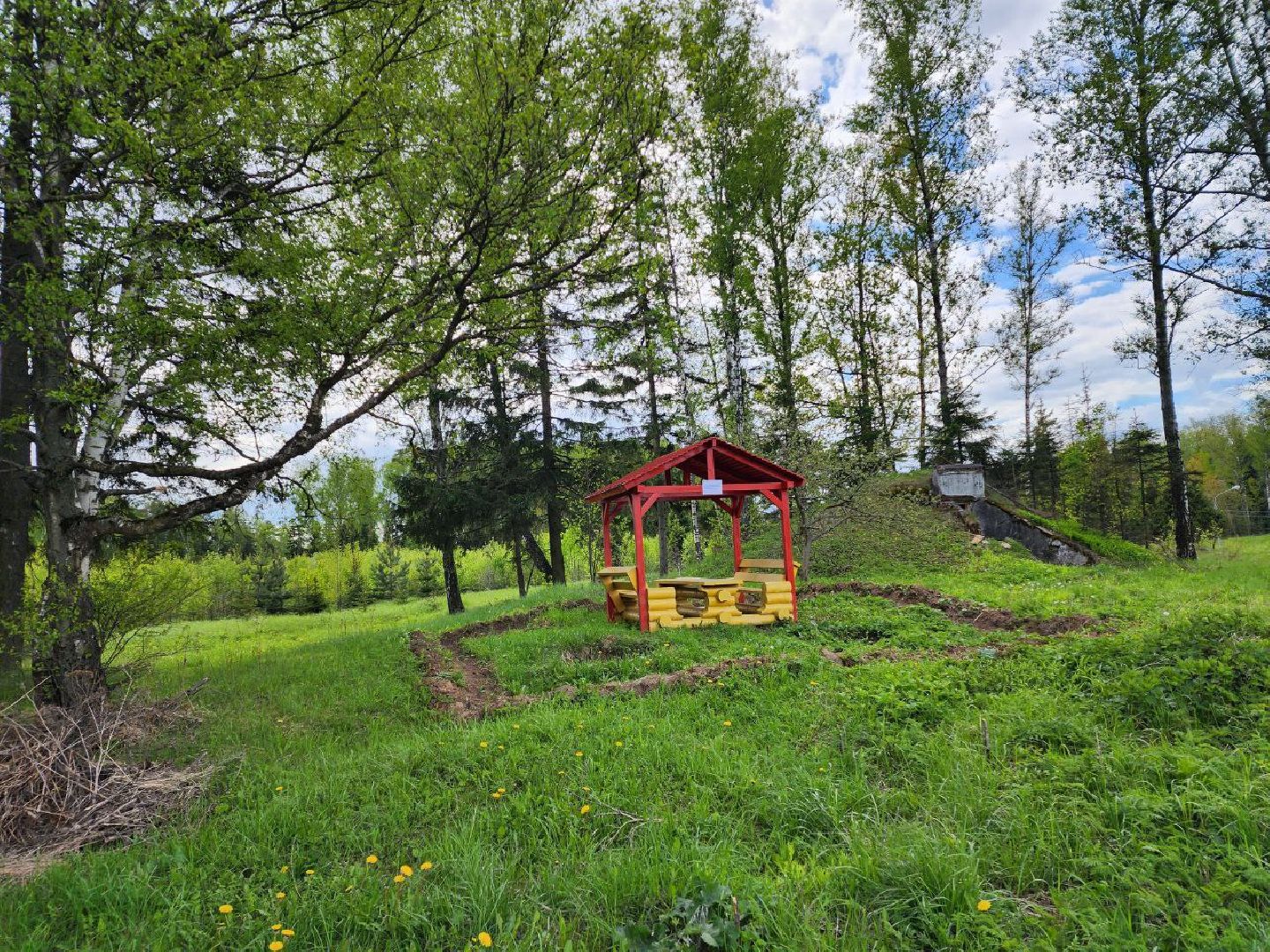 чехов, общество, зона для пикника, зона для отдыха, лесничество,