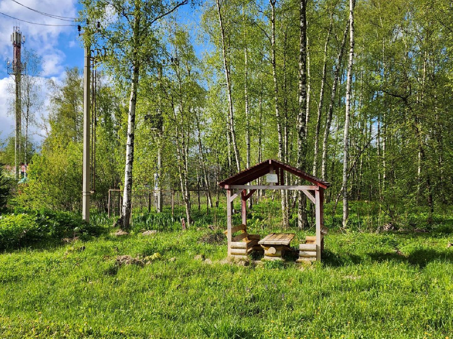 чехов, общество, зона для пикника, зона для отдыха, лесничество,